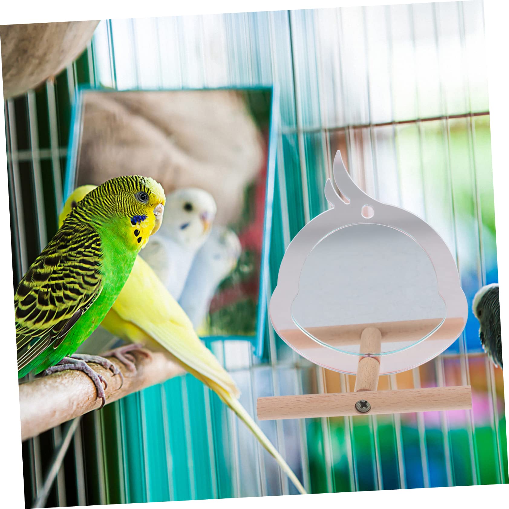 BESPORTBLE 5piezas Percha para Aves De Diseño Adorable Soporte Resistente para Periquitos y Loros Accesorio De Entrenamiento Creativo Espejo para Jaulas De Mascotas