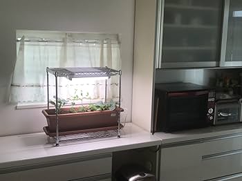 植物育成ライト 電照用LED蛍光灯 そだ照るLED蛍光灯 水耕栽培 Amazon.co.jp: 植物育成ライト 植物 LED ライト アクアリウム 食