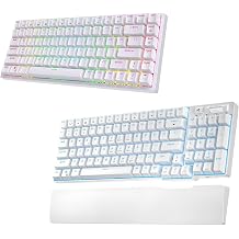 RK ROYAL KLUDGE RK84 RGB Blue Switch White & RK96 Blue Backlight Blue Switch White Bundle