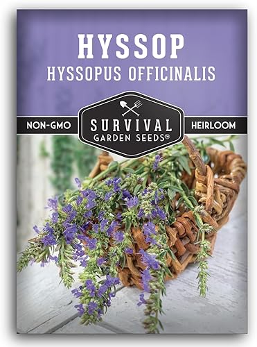 Miniatura 1 de Semilla de hisopo para plantar, 1 paquete con instrucciones para plantar y cultivar Agastache en tu jardín de hierbas casero, variedad de reliquia