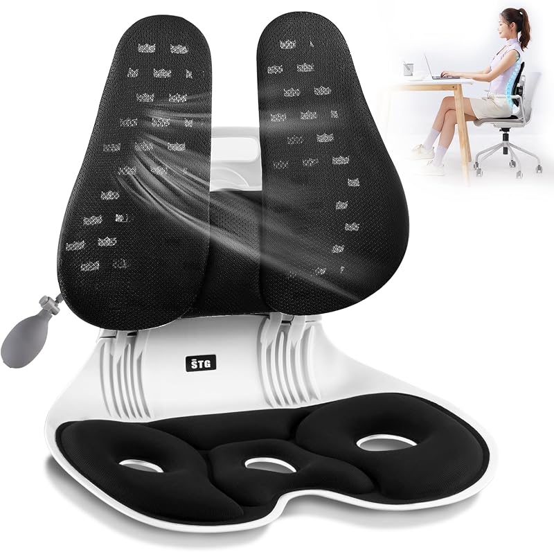 ZZWS Ergonomic Back Support, Foldable Chair Back Support with Adjustable Inflatable Lumbar Cushion Ideal for Students Office Workers Nursing Mothers Long Sitting Outdoor Fishing Floor