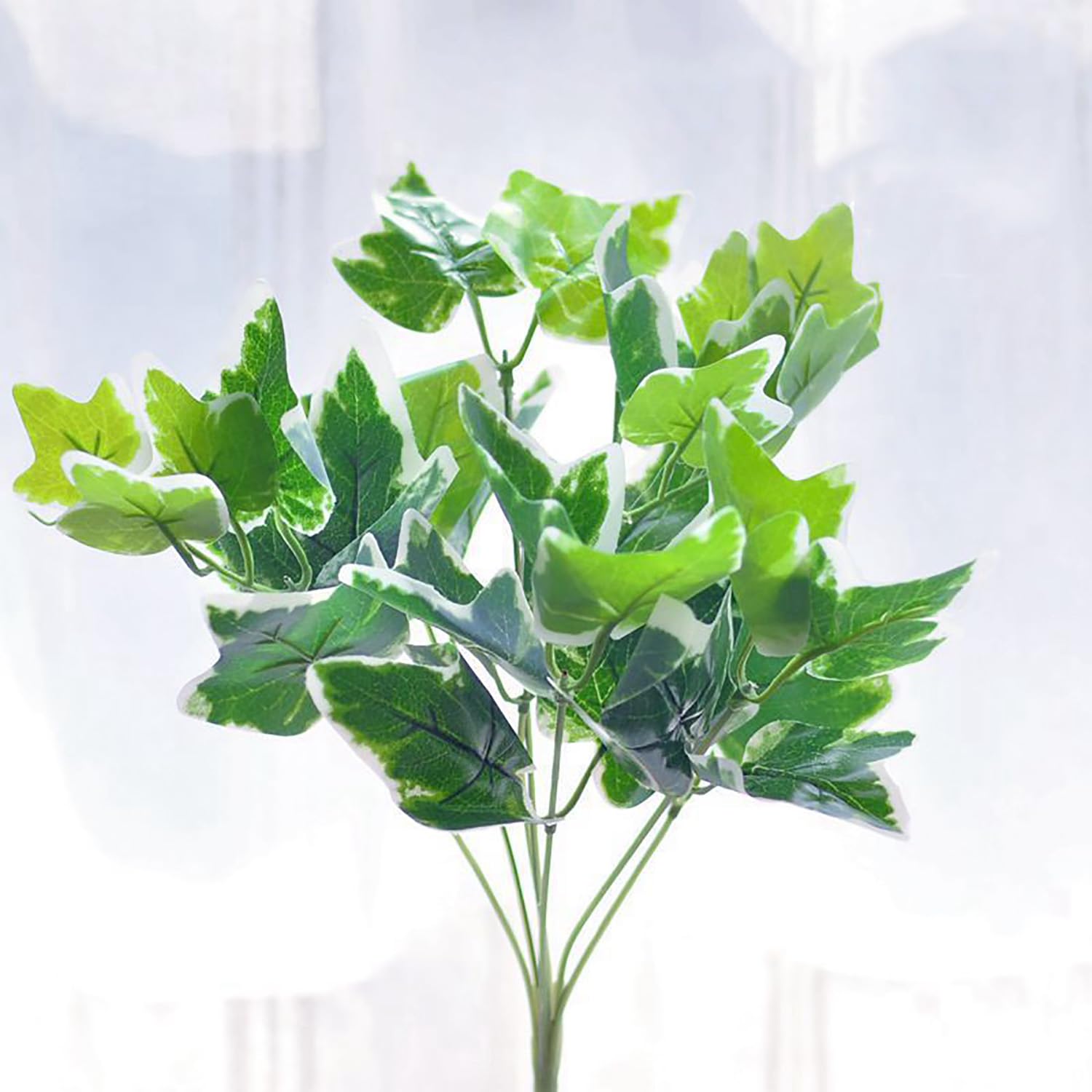 10 BUSSOLI PIANTE costiere per esterni, erba con fiori, UV-Bes5488 EUR