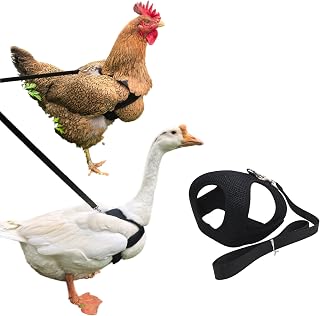 Adjustable Chicken Harness and Leash Set, Breathable Poultry Training Vest (Black)
