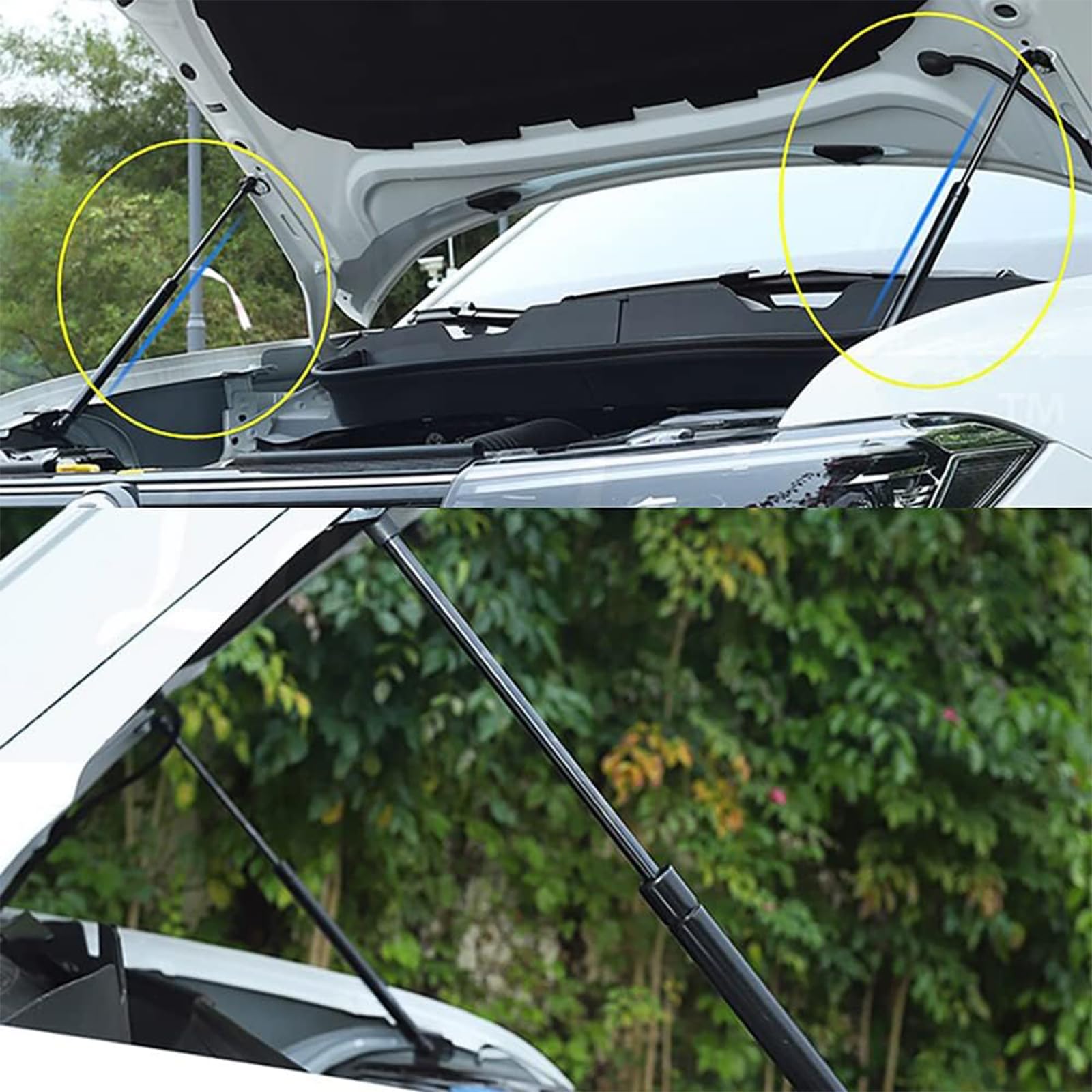 Motorhaube Dämpfer Gasdruckfeder für Suzuki Vitara Escudo 4th (LY) 2015-2022, Fronthaube Auto Gas Schock Haube Strut Modify Stoßdämpfer Hubstütze Gasfedern Kit Styling Zubehör