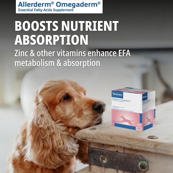 Allerderm Omegaderm Essential Fatty Acids Supplement for Medium/Large Dogs