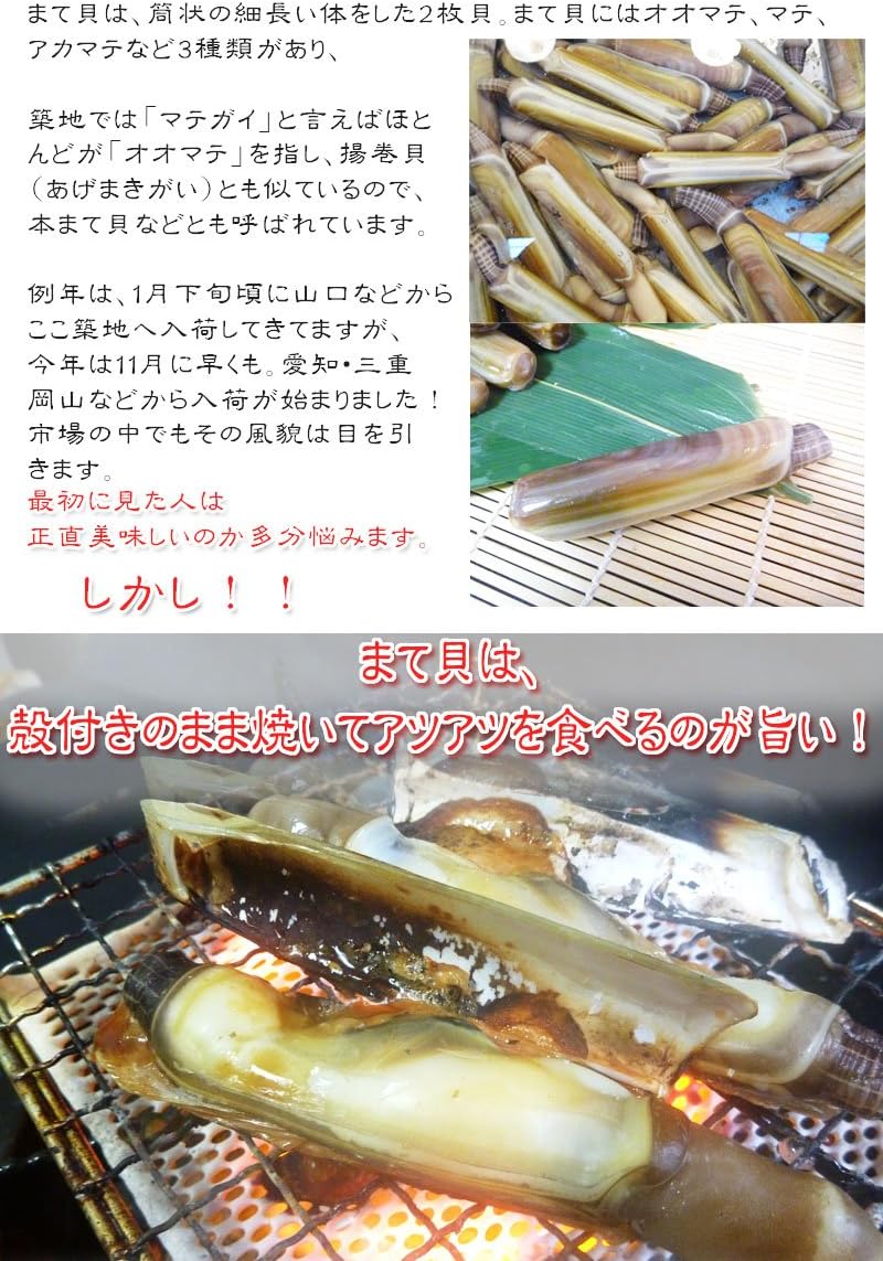 Amazon 熱々が旨い まて貝 本まて貝 オオマテ貝 マテ貝 築地の匠 鮮魚 通販