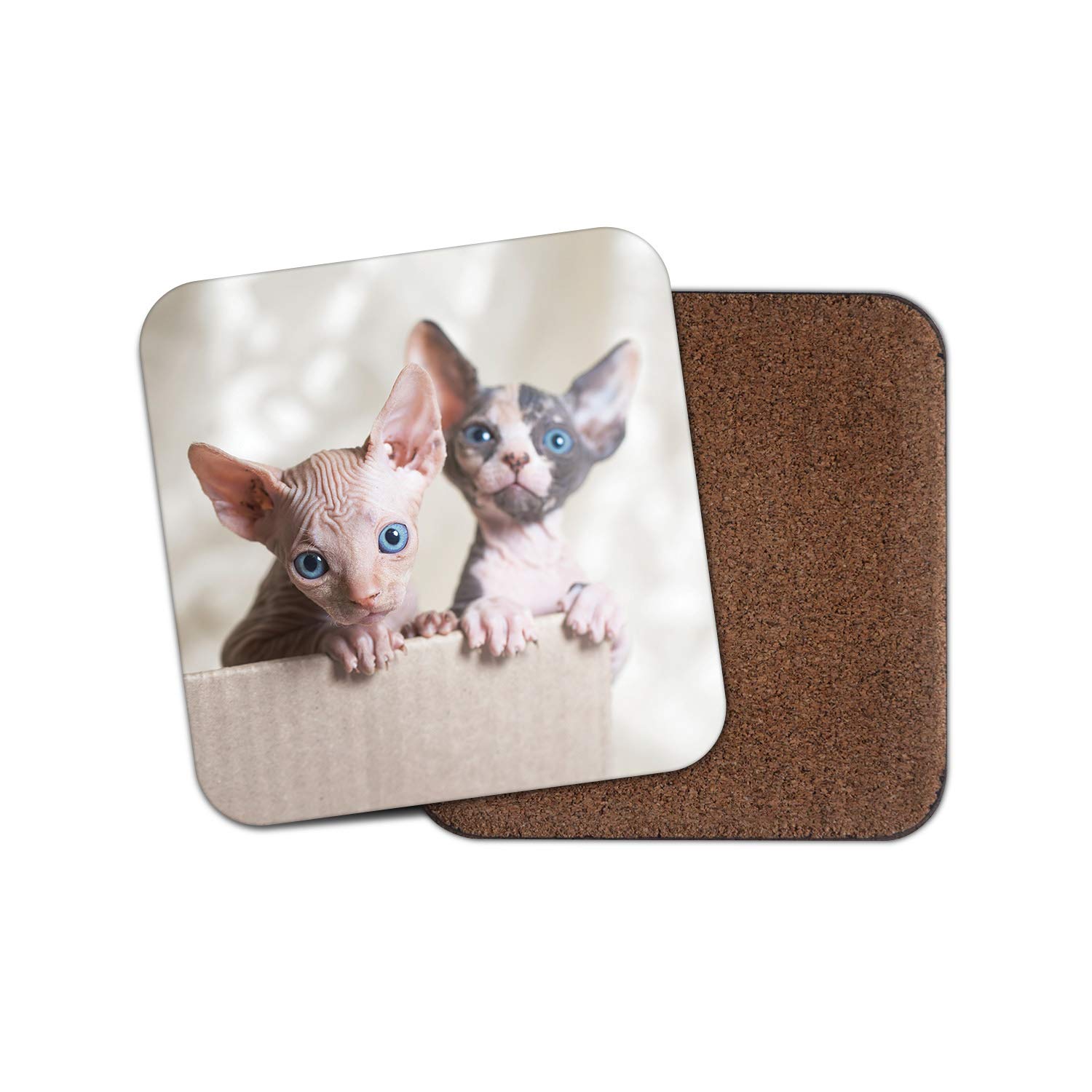 Destinationvinyl Multicolor 1 X Sphynx Cats Coaster - Cat Kitten Siamese Cute Blue Eyes Mum Auntie #15274