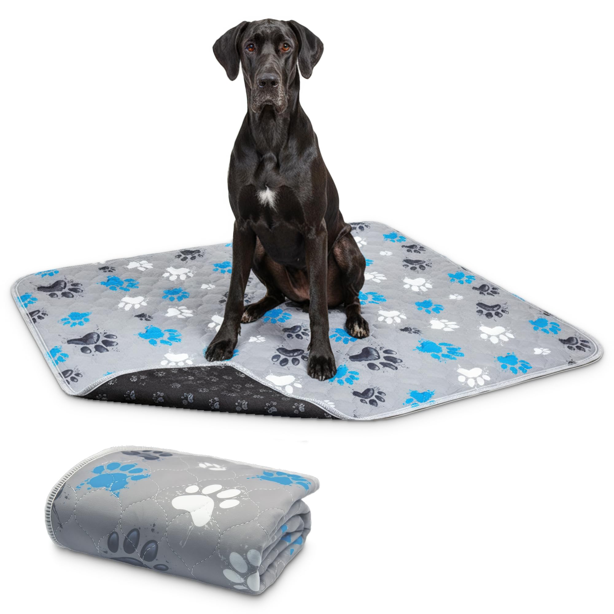 Tapis de dressage lavable 122x122 cm motif patte graffiti