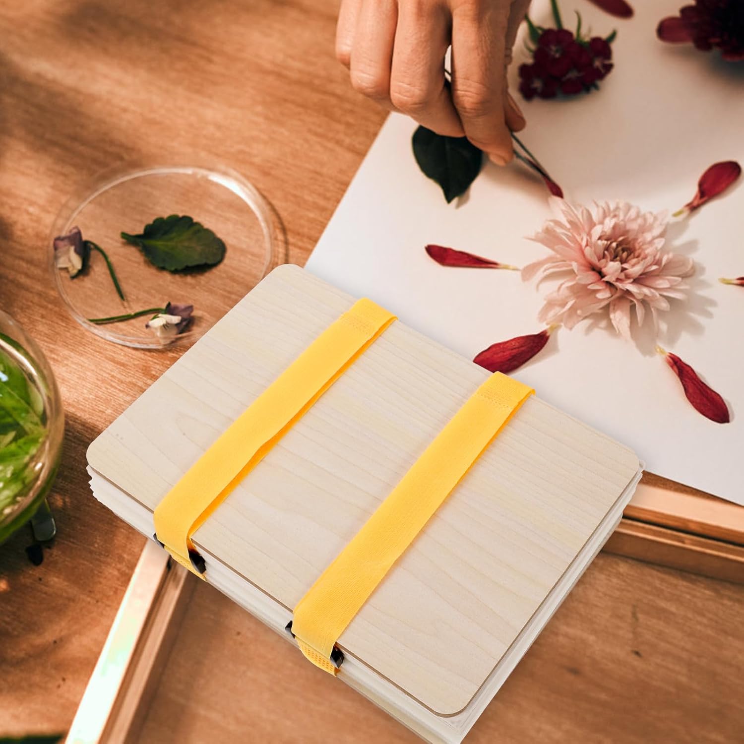 NAMOARLY DIY Flower Press Kit with Leaf Pressing and Specimen Pressing Tools for Adults, Multi-Layer Press Board Set for Plant Specimen Preservation and Dried Flower Craft Projects