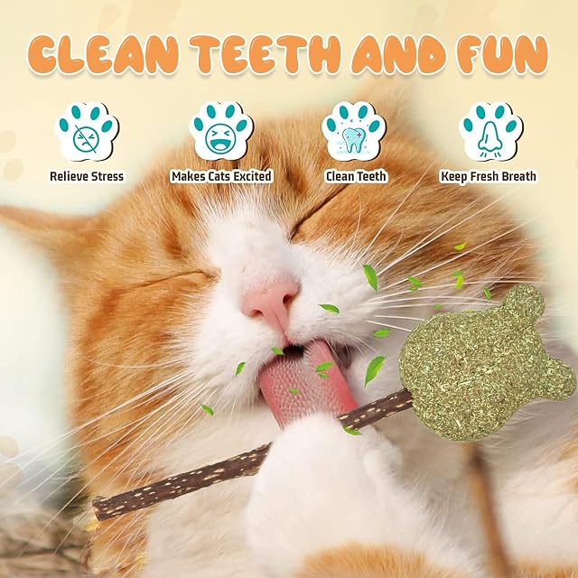 Foto 5 de 7 de MLPKOI 6 Piezas Palitos de Catnip para Gatos, Palos de Masticar Matatabi, Katze Kauspielzeug