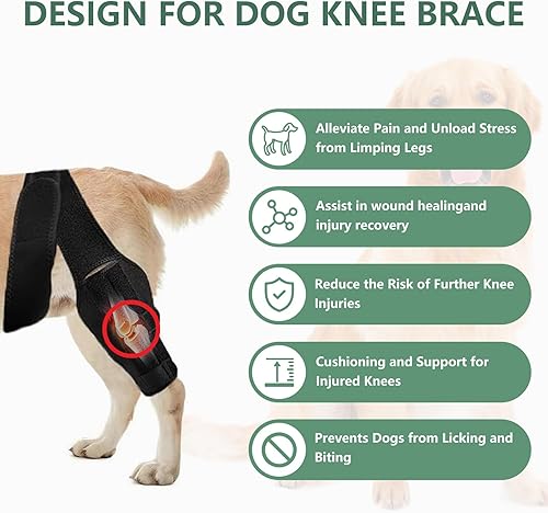 Miniatura 2 de Rodillera para perro para desgarro del ligamento cruzado del ligamento cruzado para perros, soporte ajustable para piernas delanteras y traseras,