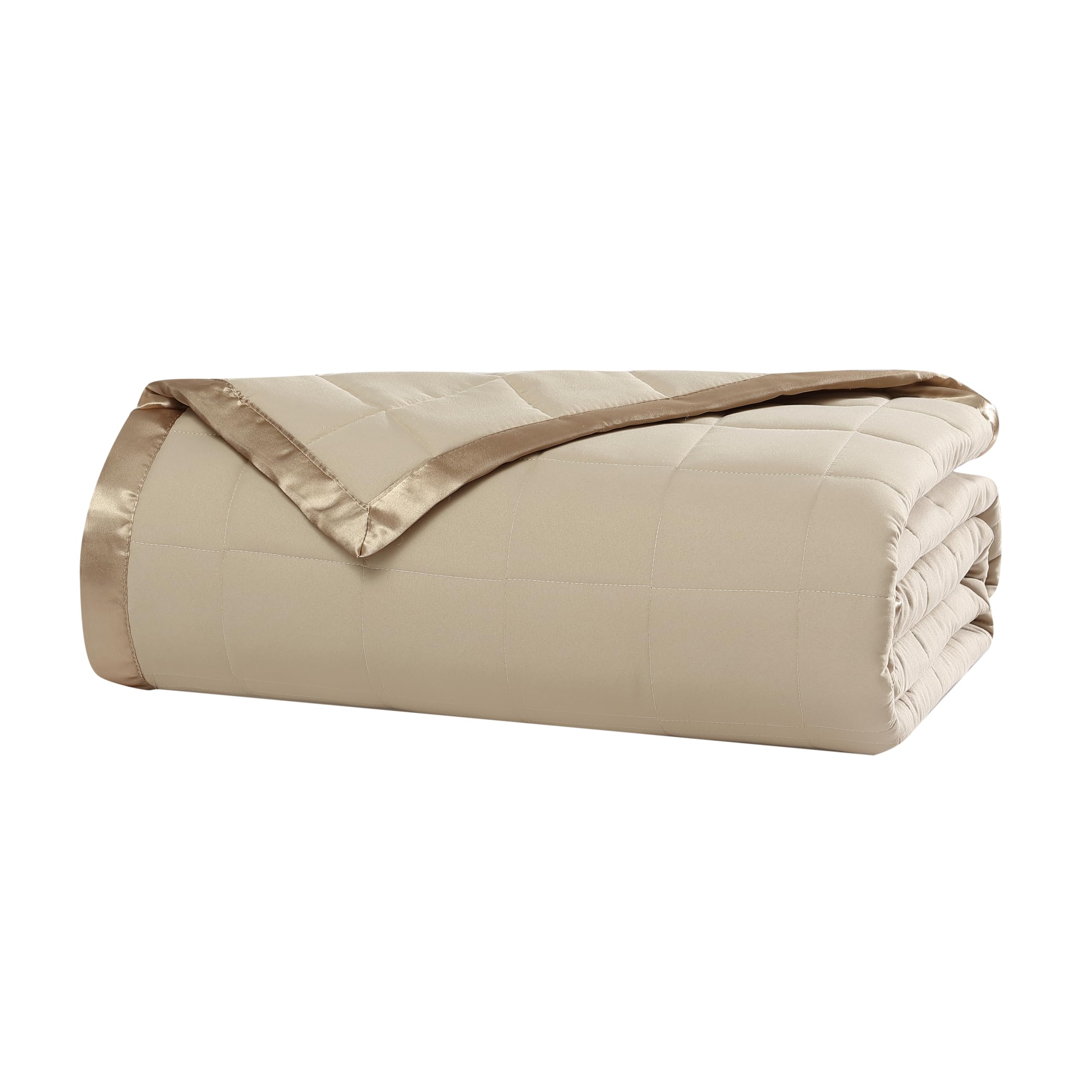 Beatrice Home Fashions Down Alternative Full/Queen Blanket