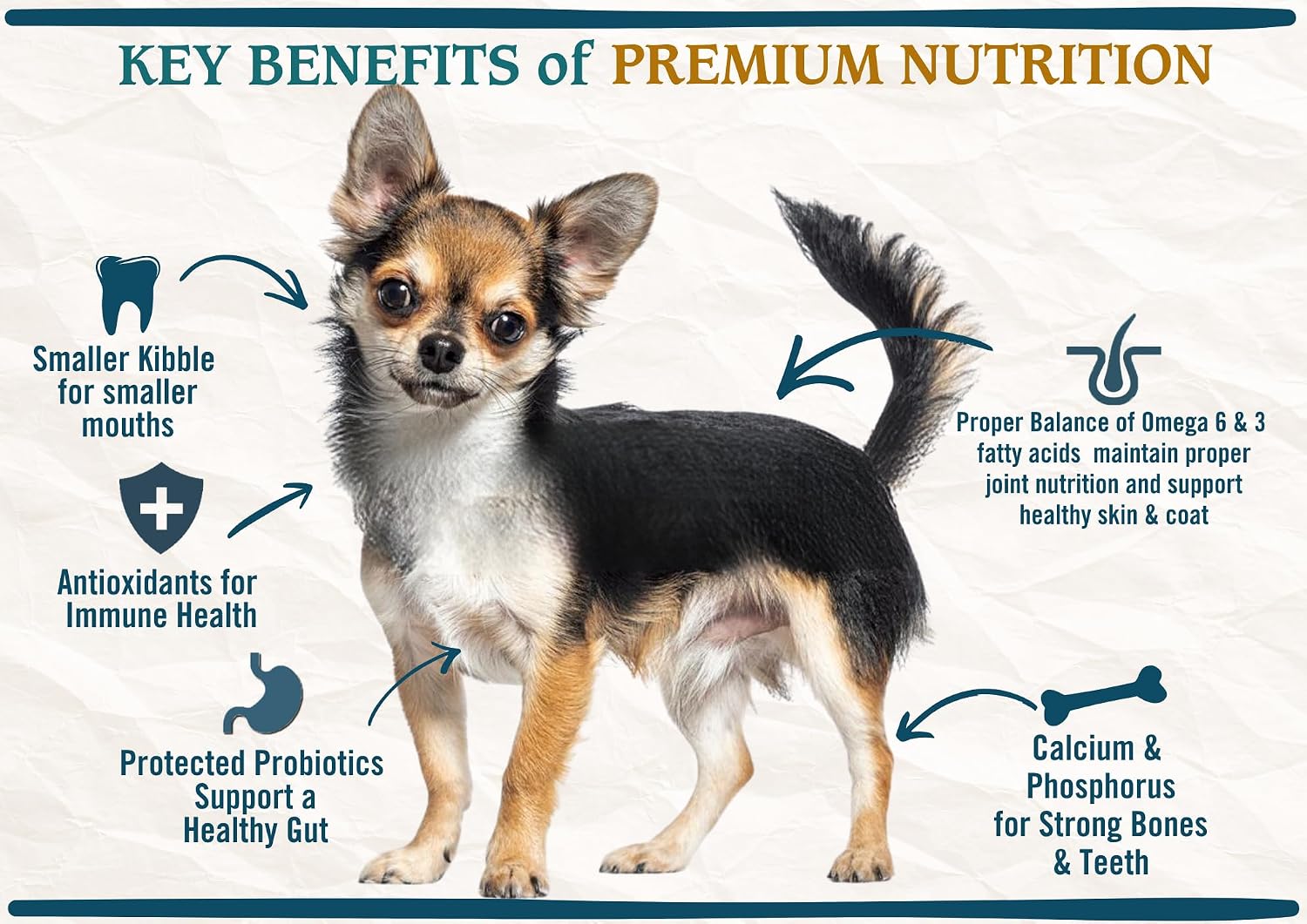 Chicken Soup for the Soul Natural Premium Small Bites Adult Dry Dog Food, Real Meat First Ingredient, No By-Products, Supports Gut & Immune Health, Chicken, Brown Rice & Turkey 4.5lb (Pack of 2) image 5