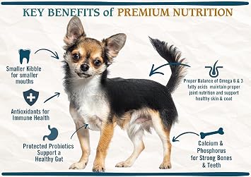 Chicken Soup for the Soul Natural Premium Small Bites Adult Dry Dog Food, Real Meat First Ingredient, No By-Products, Supports Gut & Immune Health, Chicken, Brown Rice & Turkey, 13.5lb