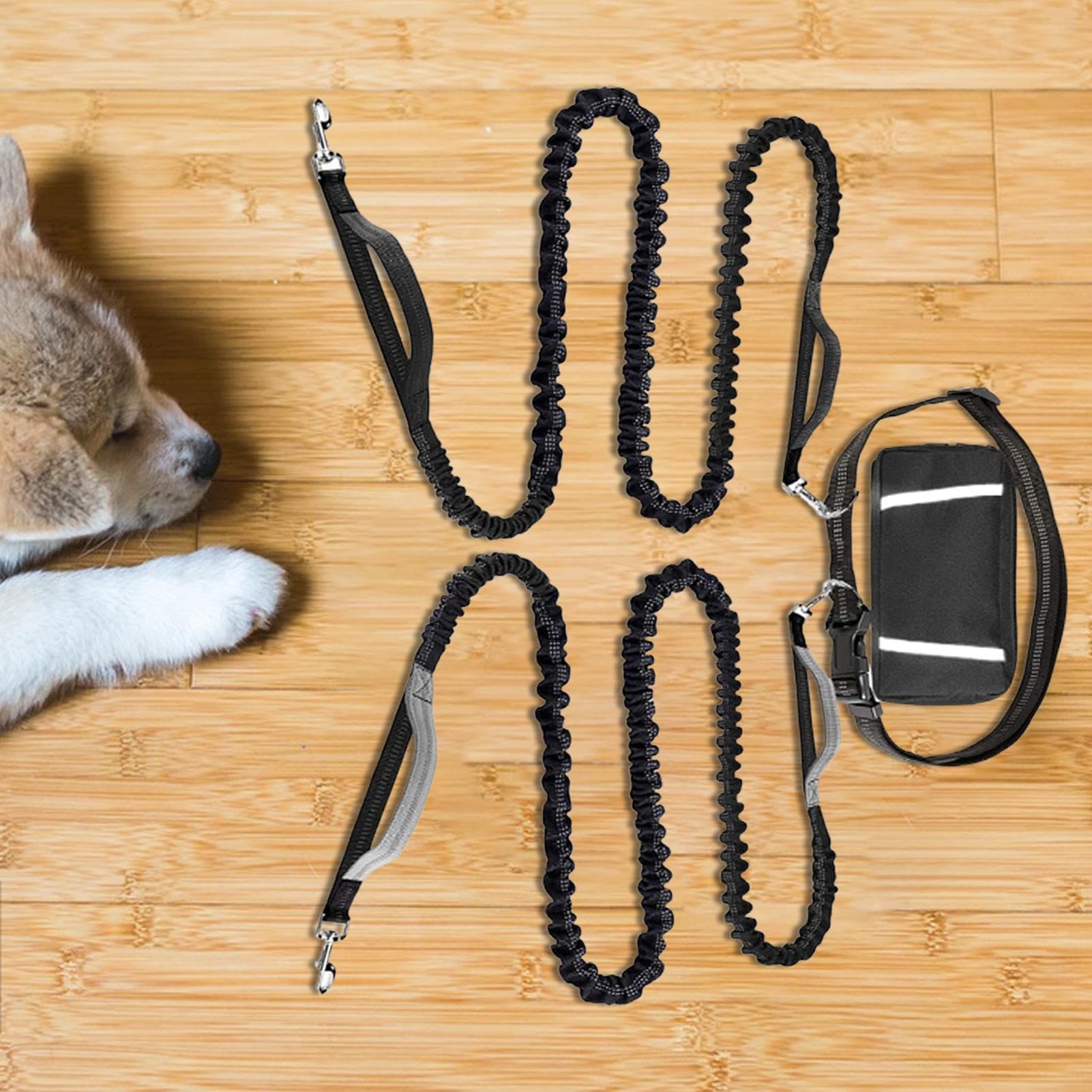 Corde de Promenade pour Chien Longe Chien réfléchissante réglable