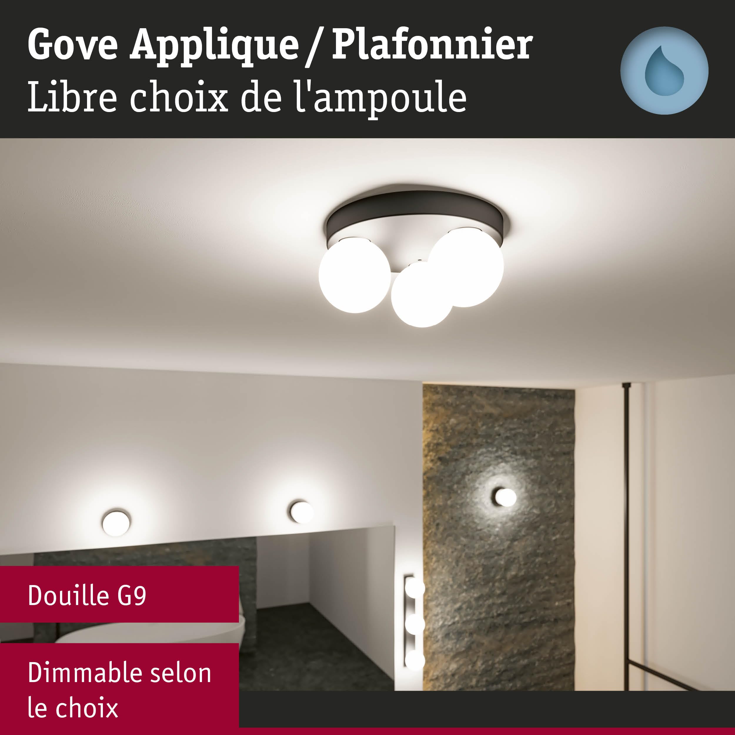 Paulmann 71069 Plafonnier Selection Bathroom Gove IP44 G9 230V max. 3x20W gradable Noir mat, Satin luminaire de salle de bain