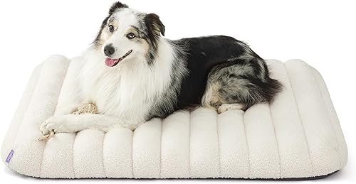 LE SURE Cute Orthopedic Dog Bed Large Sized Dog, Waterproof Chic Flat Pet Beds with Removable Washable Cover, Fuzzy Thick Egg Crate Foam Pet Mat for
