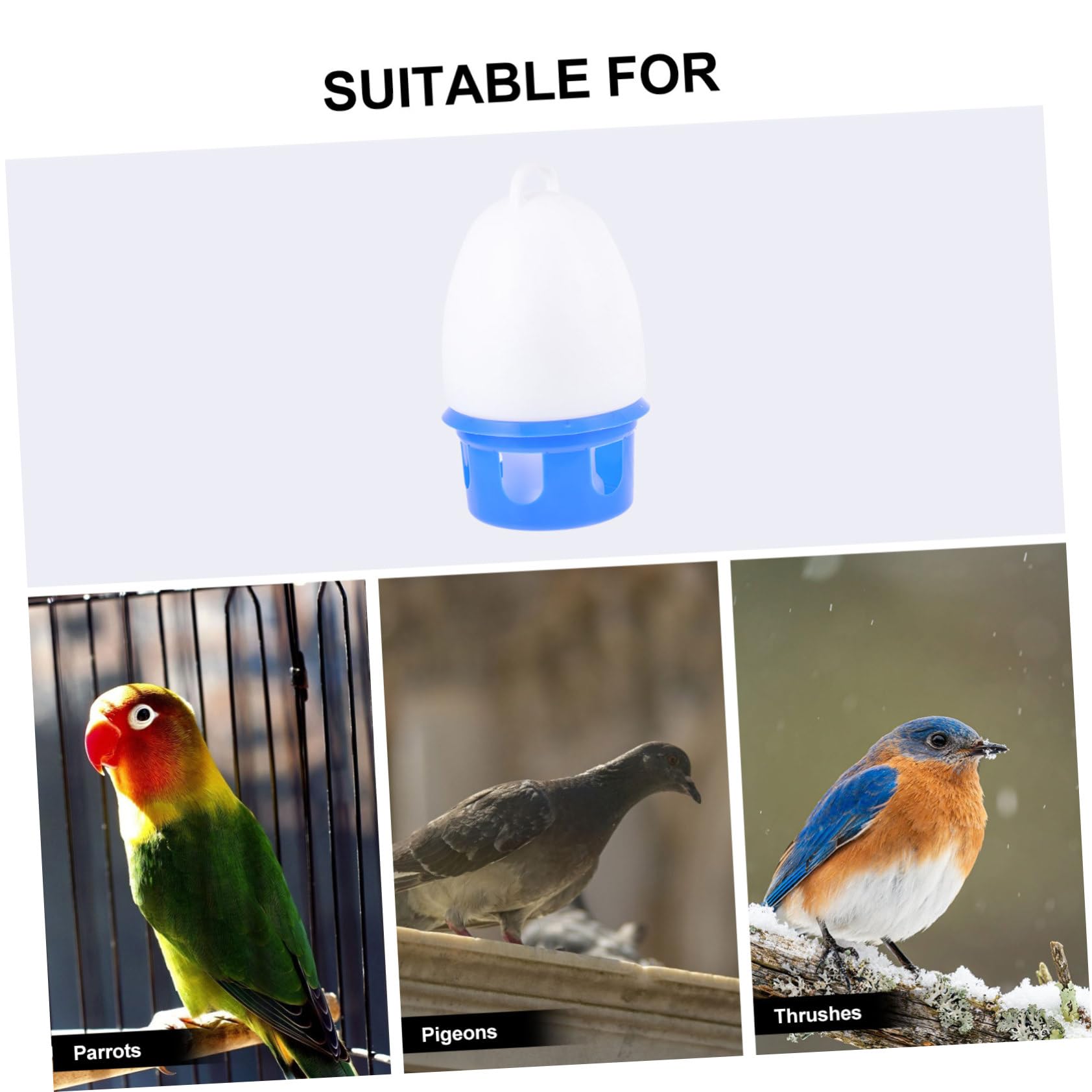 Abreuvoir pour Oiseaux et Pigeons 1 Pièce en PVC, Bleu