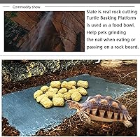 Vista 7 de Tfwadmx Plataforma para tomar el sol de reptiles, plato de alimentación de tortuga, cuenco de comida de reptiles de roca natural, decoración