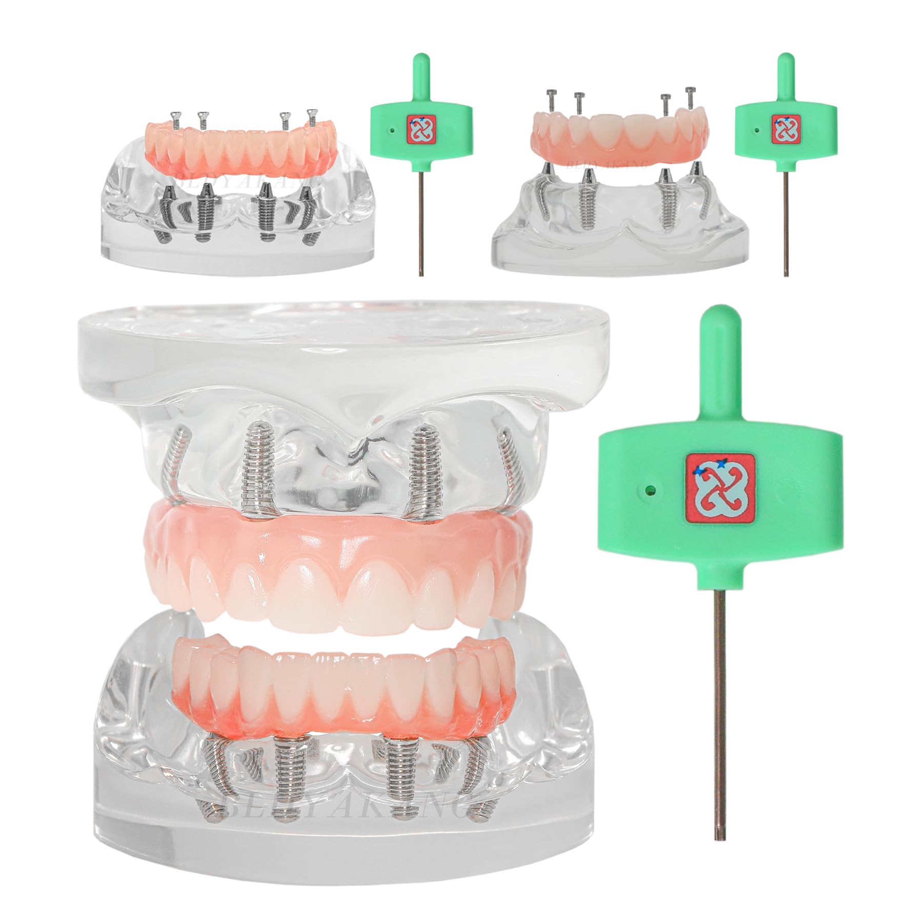 Dental Implant All-on-4 Treatment Model Upper/Lower Jaw kit