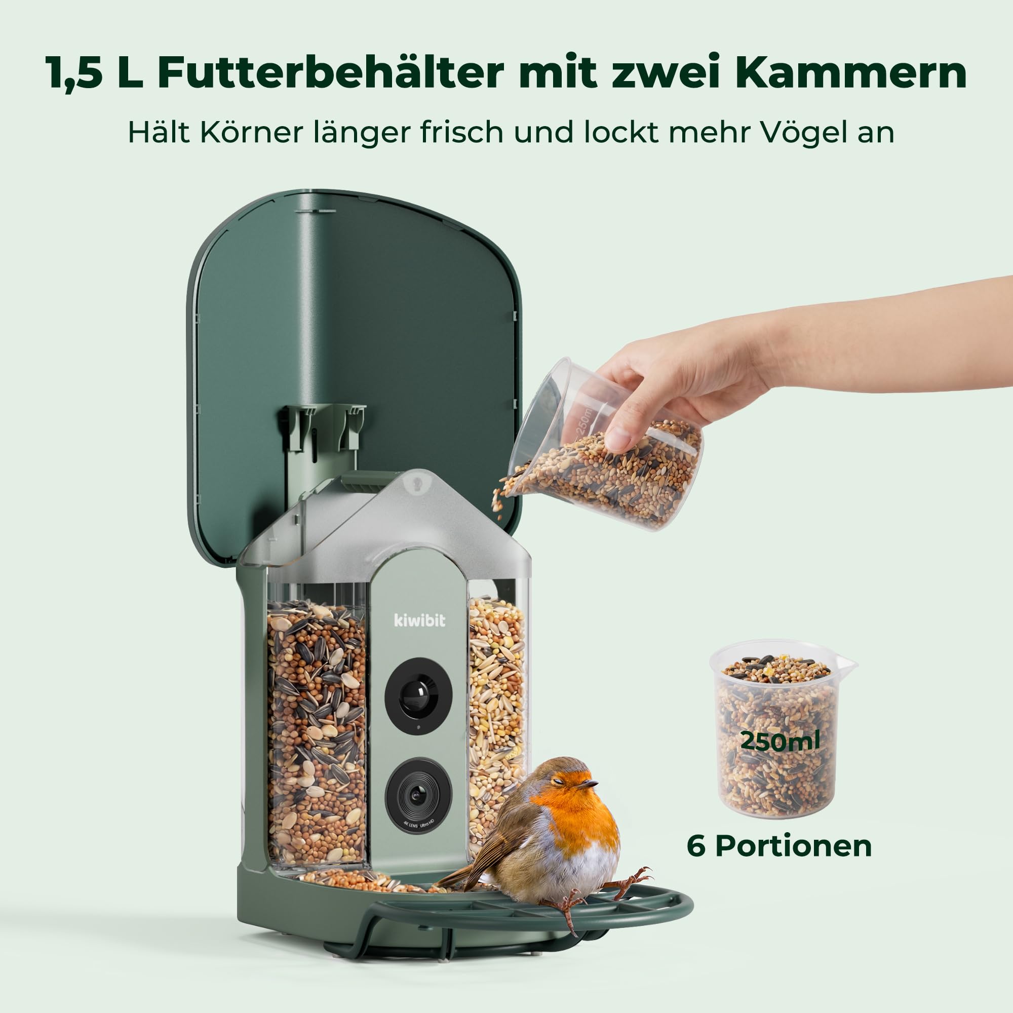 Kiwibit Smart Vogelhaus, 4K Kamera, KI-Erkennung, integriertes Solardach | 8MP Fotos, Live-Ansicht, KI-Vogelerkennung mit Kiwibit , Echtzeit-Alarm und Zwei-Wege-Audio