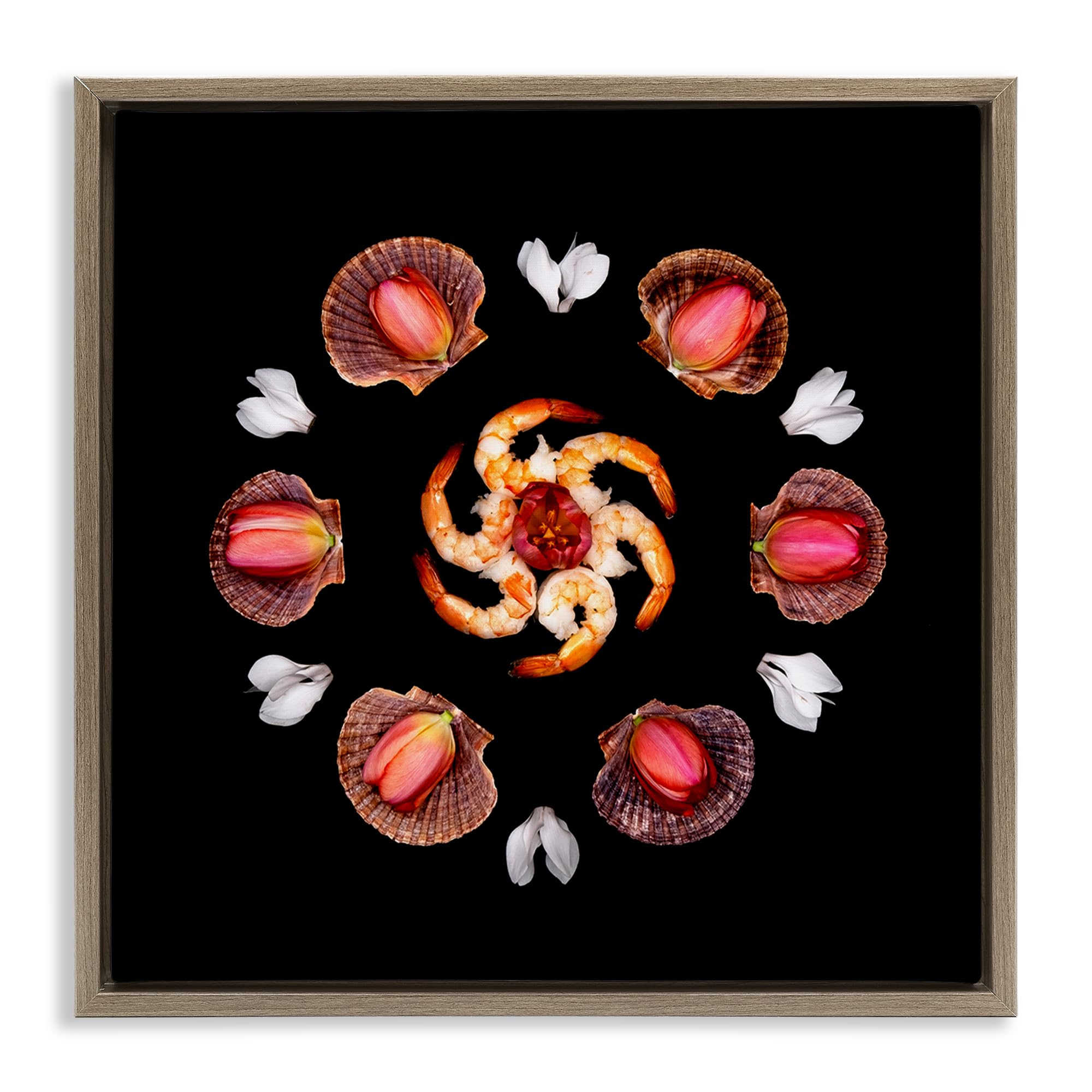 Stupell Industries 'Seashells & Tulips Symmetry', Floating Frame Canvas Art, Brown, 18 x 18 Inches, Easy to Hang and Sturdy, Made in USA, by Beth Adoette