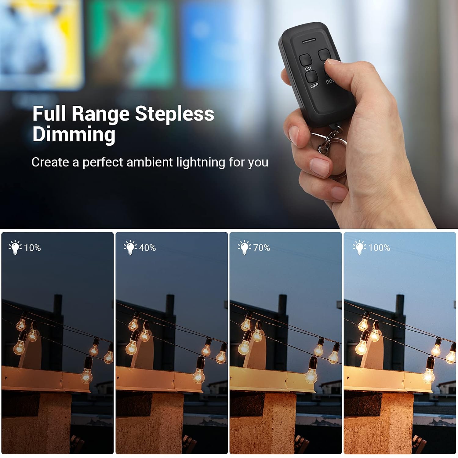DEWENWILS Outdoor Dimmer for String Lights, 125V Dimmer Switch with 100FT Control Range, Weatherproof Outdoor Dimmer Plug for Dimmable LED/Tungsten Bulbs, FCC Listed