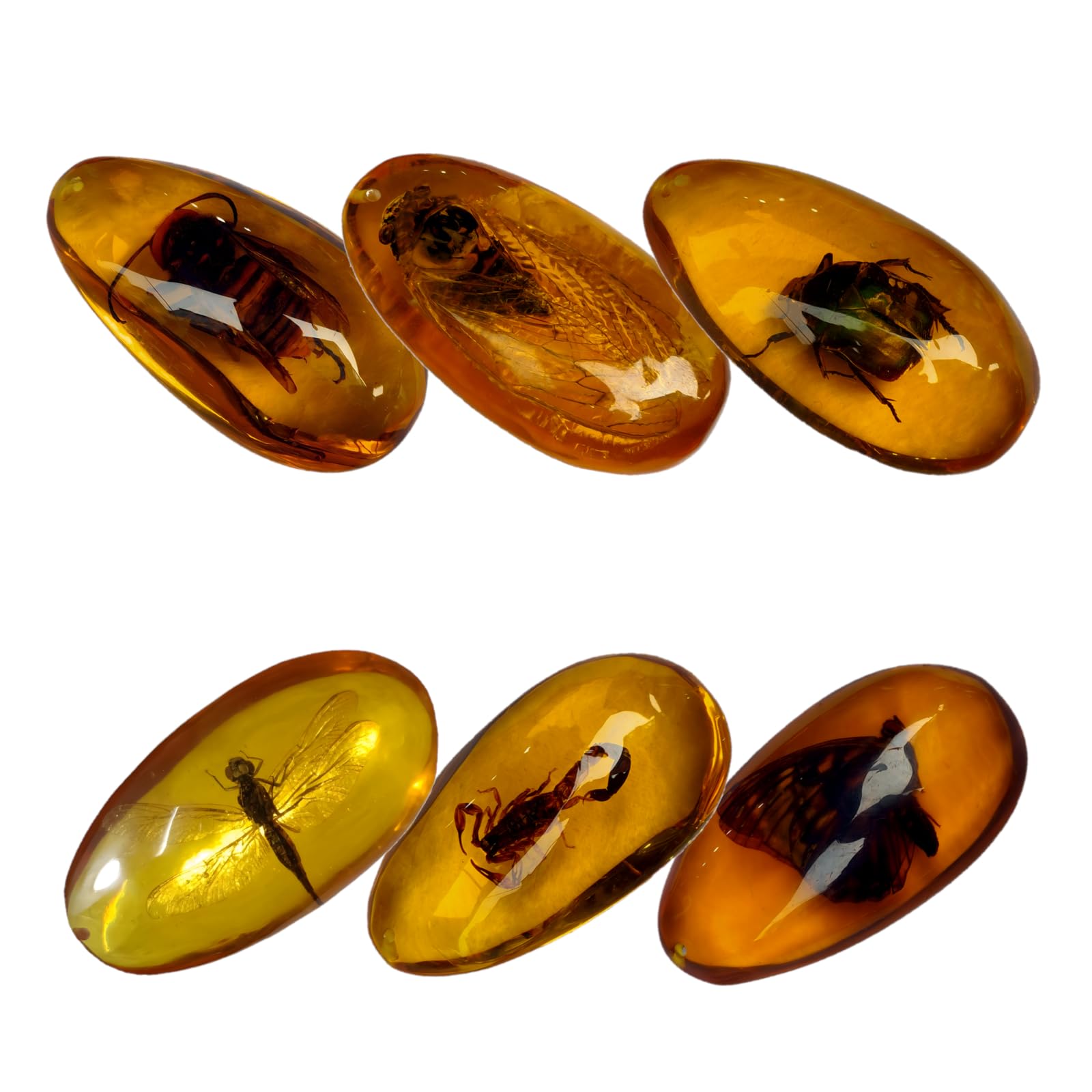 Drxrd Amber Set Of 6 Insect Taxidermy, Artificial Insect Fossil, Resin Specimen Bugs Decor Stone For Collection