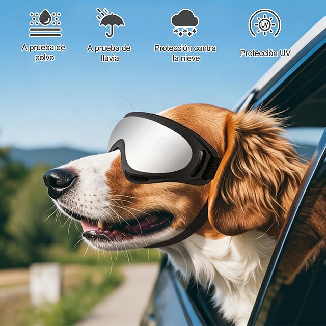 Foto 2 de 7 de Galatée Gafas para Perros, Gafas De Sol para Perros con Correa Ajustable, Protección UV