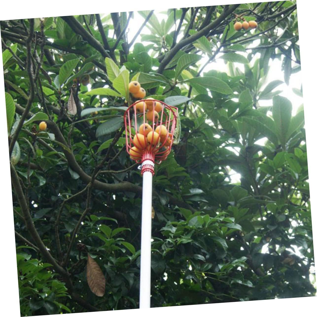2pcs Fruit Picker Tool Lightweight High Reach Harvester for Orchard Garden and Home Use and Easy to Install for Persimmons Jujubes and More