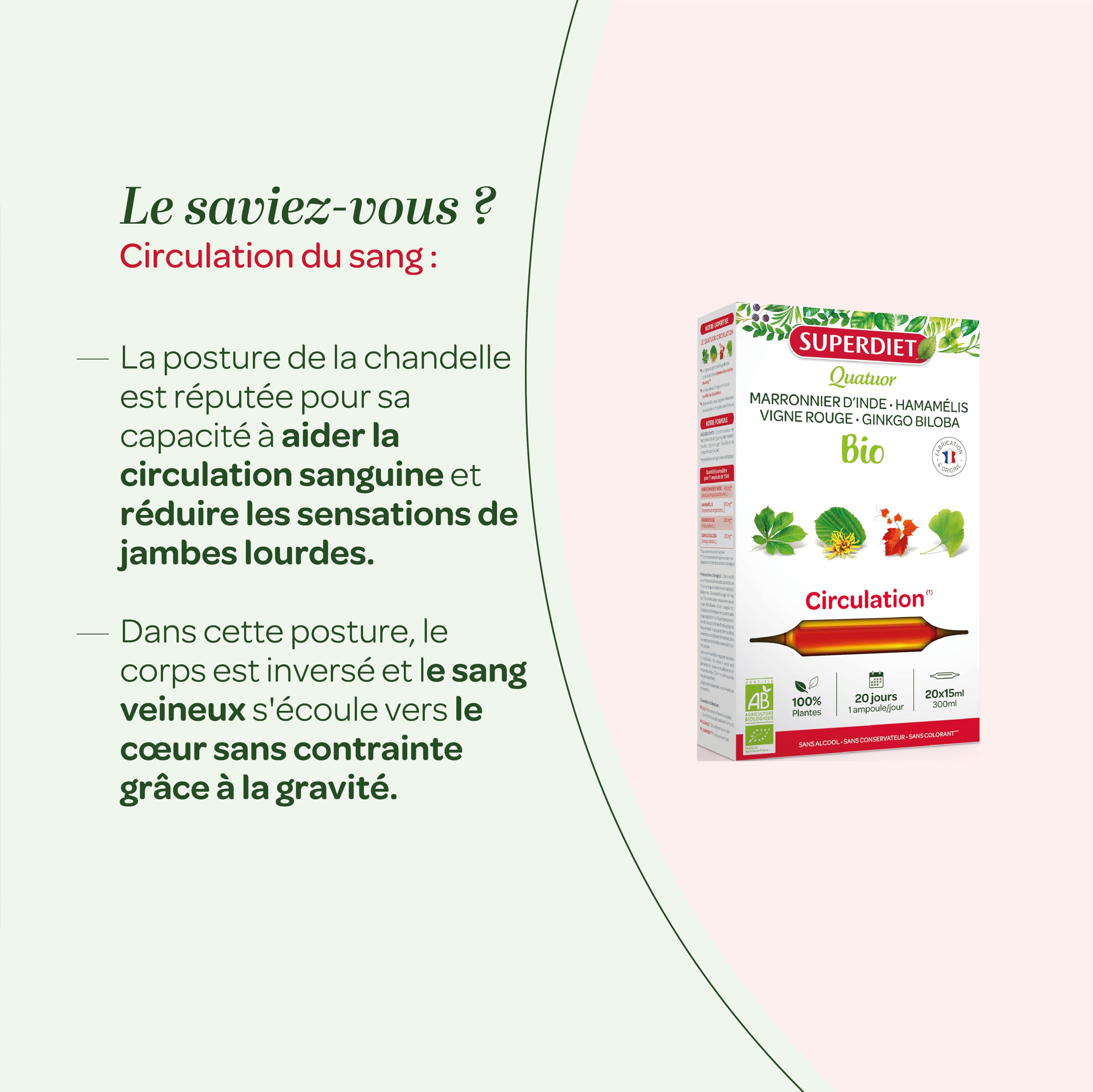 SuperDiet Quator Marronnier, Hamamélis, Vigne Rouge et Ginkgo 20 ampoules de 15ml soit 300ml (Lot de 2)
