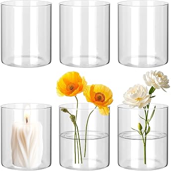 BUCOMTU Pack of 6 Glass Vases, 10 x 8.5 cm Small Vases, Small Glass Vases for Table Decoration, Tall Flower Vases, Candle Jar