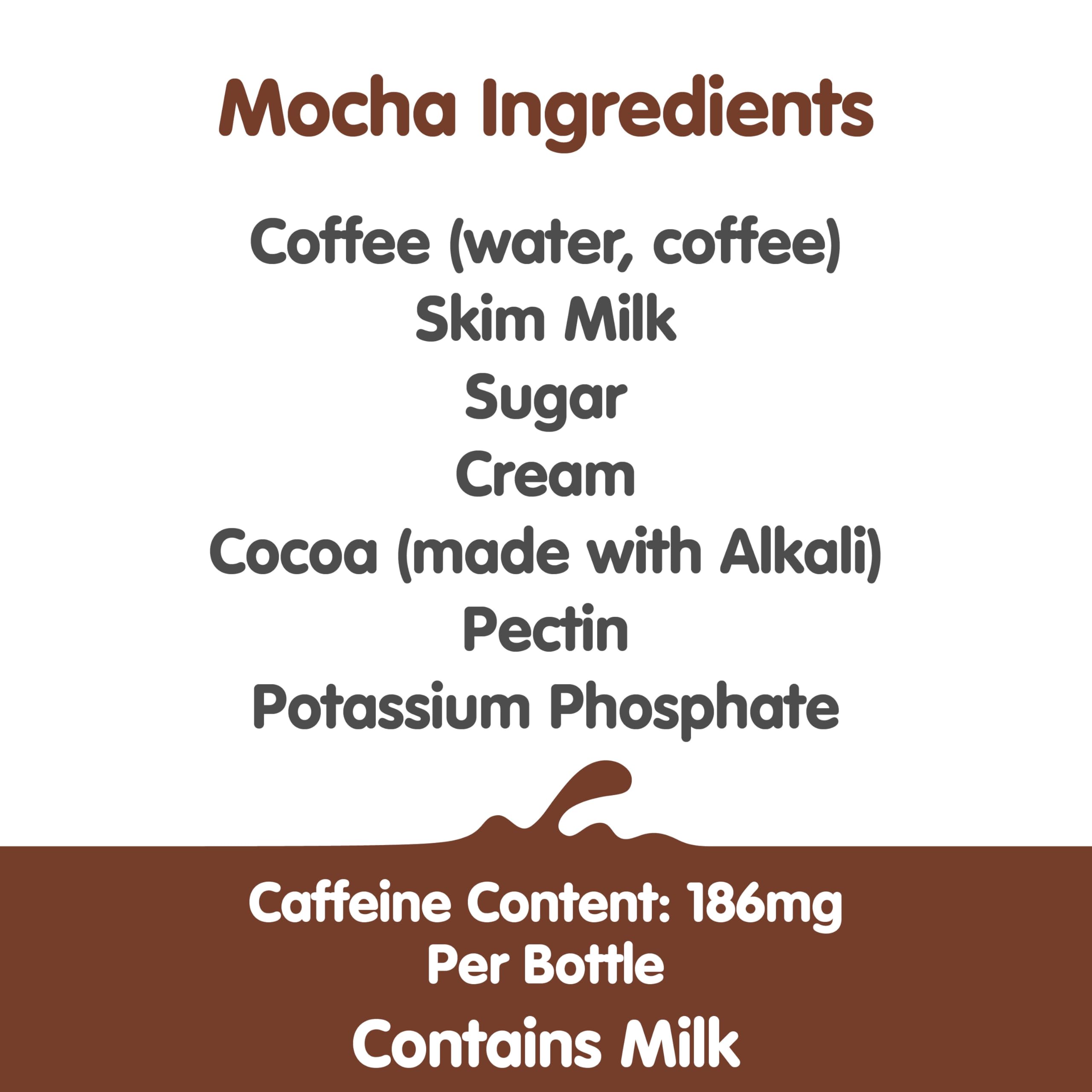 Dunkin' Mocha Iced Coffee Bottle, 13.7 fl oz, 12 Pack