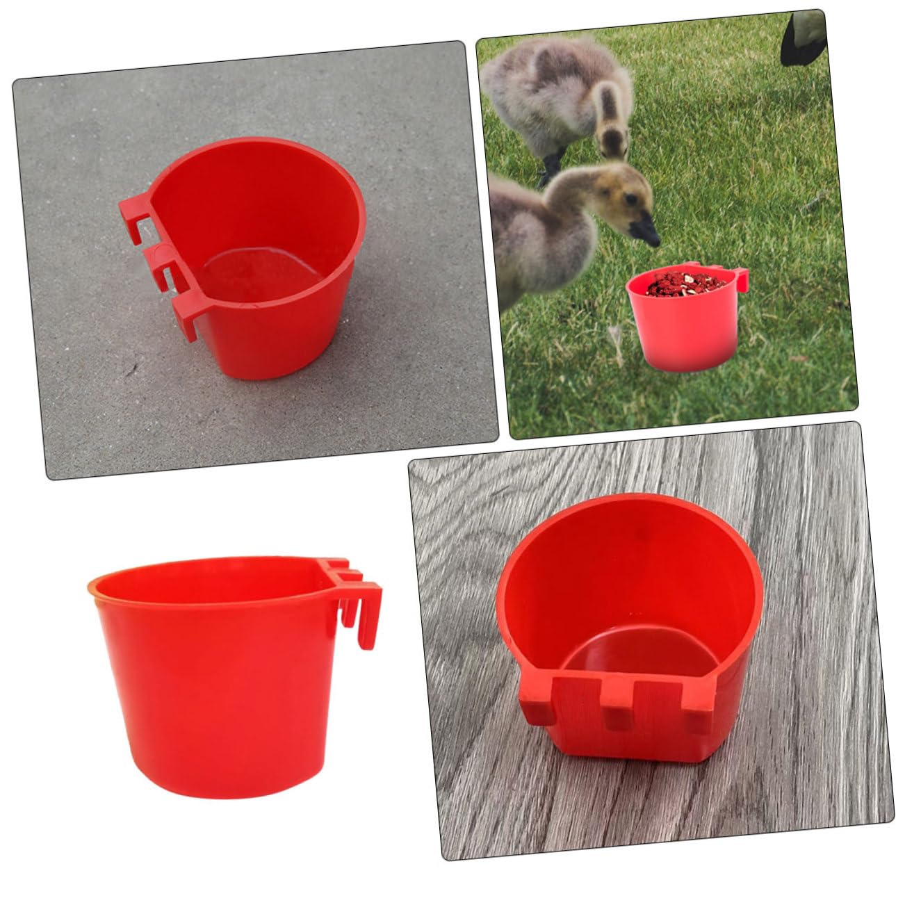 Abaodam 20pièces Mangeoires pour Cage à Oiseaux Distributeurs De Nourriture pour Perroquets Bols Léger Faciles à Nettoyer Suspendre