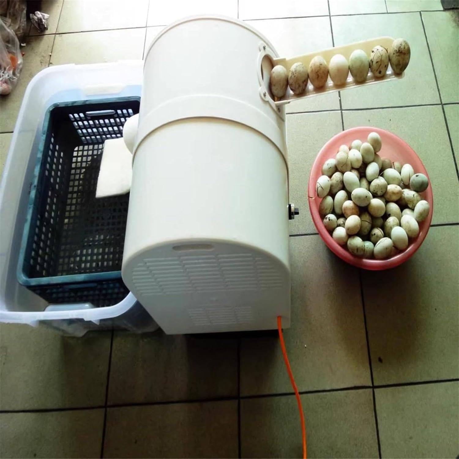 Lavadora de Huevos eléctrica, Lavadora de Huevos de gallina Pato Ganso, para criadores y Granjas
