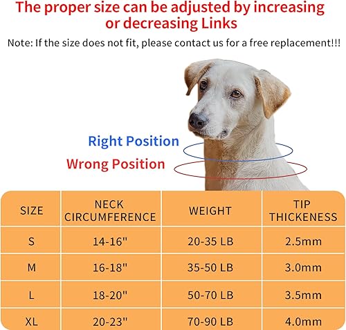 Miniatura 6 de Collar de punta naranja para perros