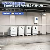 Oasesenergy Batterie Lithium 48V 314Ah LiFePO4, avec 200A BMS, Batterie Solaire 16kWh, écran LCD Tactile, WLAN/Bluetooth APP pour l'alimentation électrique de Secours à domicil, Stockage Solaire - 2