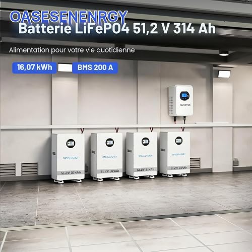 Oasesenergy Batterie Lithium 48V 314Ah LiFePO4, avec 200A BMS, Batterie Solaire 16kWh, écran LCD Tactile, WLAN/Bluetooth APP pour l'alimentation électrique de Secours à domicil, Stockage Solaire - 2