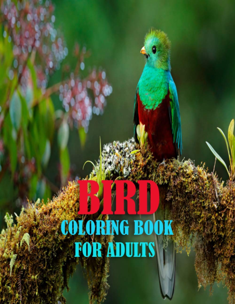 Bird Coloring Book For Adults: 50 amazing and unique bird coloring page of parrot, penguin, owl, eagle, peacock, hummingbird, pigeon and more birds for mind relaxation and stress relief book