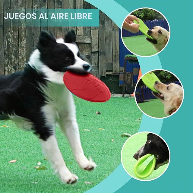 Foto 5 de 7 de Noaxylic 2 Piezas Frisbee Perro, Suave y Duradero Discos para Perros