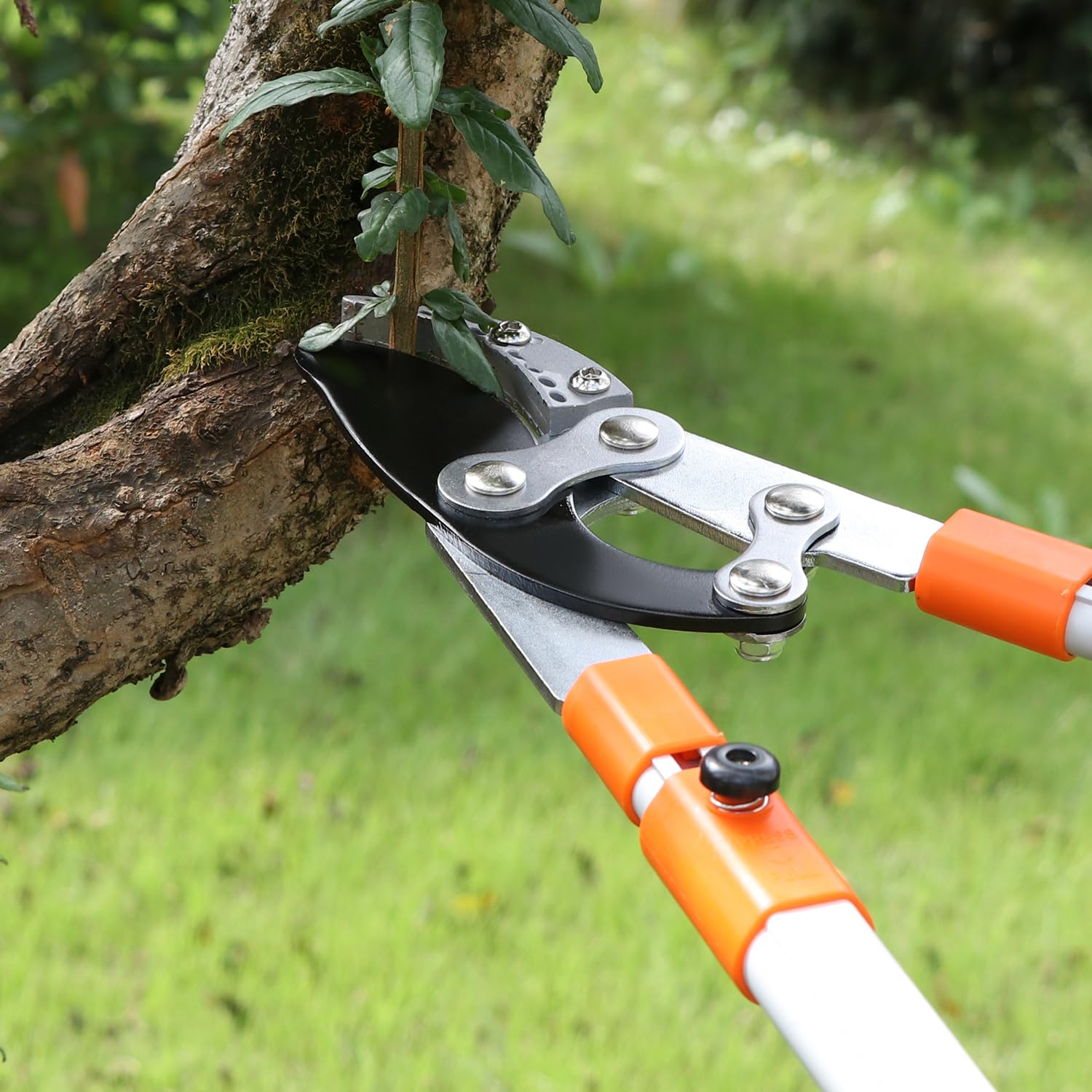 QWORK® Teleskopowe sekatory do gałęzi 68-101 cm, teleskopowe nożyce do gałęzi z regulowanymi uchwytami