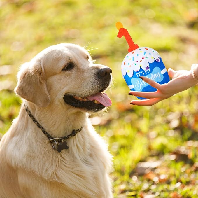 Juguete de Pastel de Cumpleaños para Perro Dansydaisy, Squeaky, Azul miniatura 6