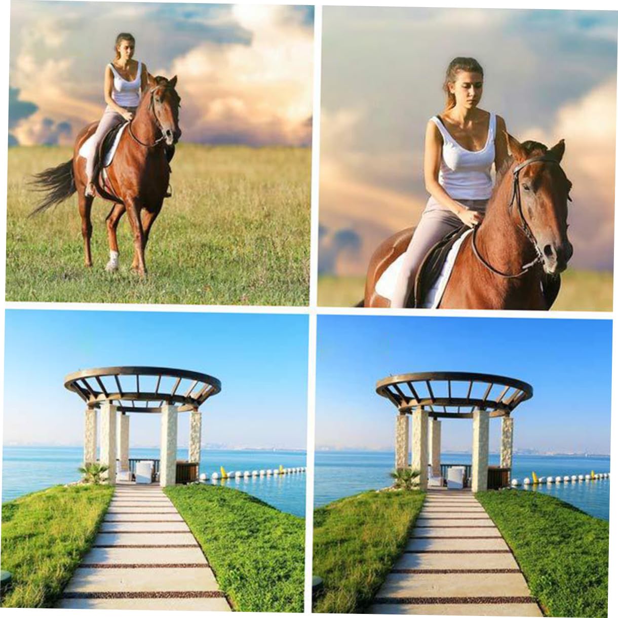 SHINEOFI Kit Obiettivo per Telefono in Lega Leggera e Vetro Lente Grandangolare e Macro per Fotografia Professionale