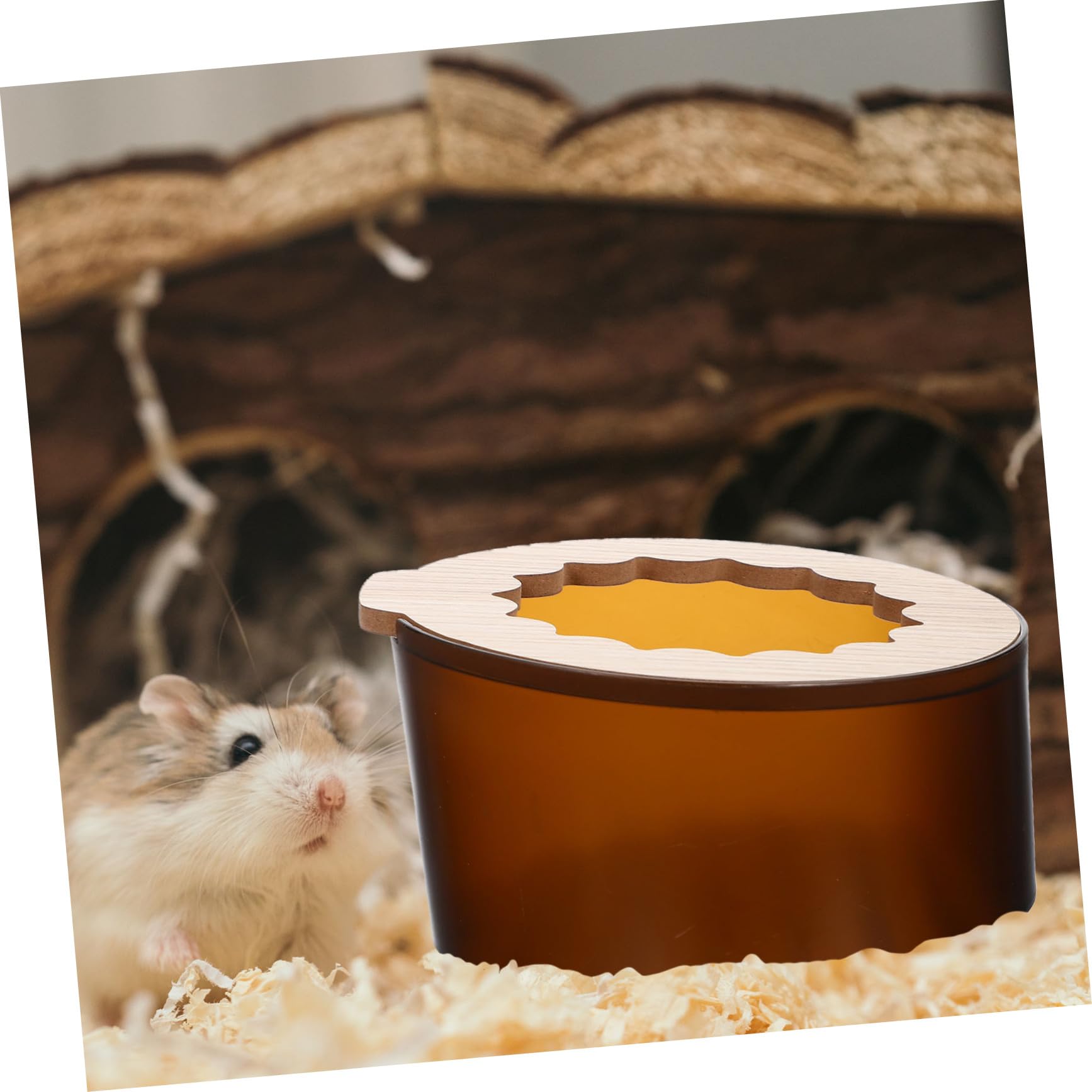 Milisten 2stücke Chinchilla-sandbadbehälter Hohes Sandbad für Hamster Hamstersand Kleintiertoilette -sandbadhaus Pool Badesand