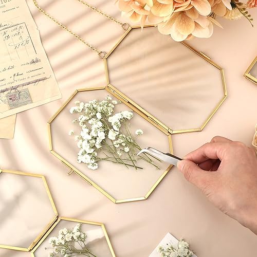 Miniatura 6 de Flores secas de aliento para bebés a granel, blanco marfil, aliento de bebé, flores reales prensadas de gypsophila natural, flores secas para