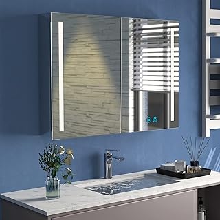 WisHomee Stainless Steels Bathroom Mirror Cabinets with LED Lights, Wall Mounted Mirror Medicine Cabinet with Shelf, Socket and Plug, Anti Fog, Dimmable, with Memory Function, 600 x 800mm