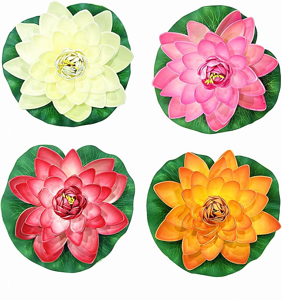 4 Color Lotus Flowers