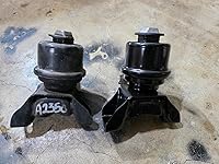 Review Image by Anthony L. Anthony L.