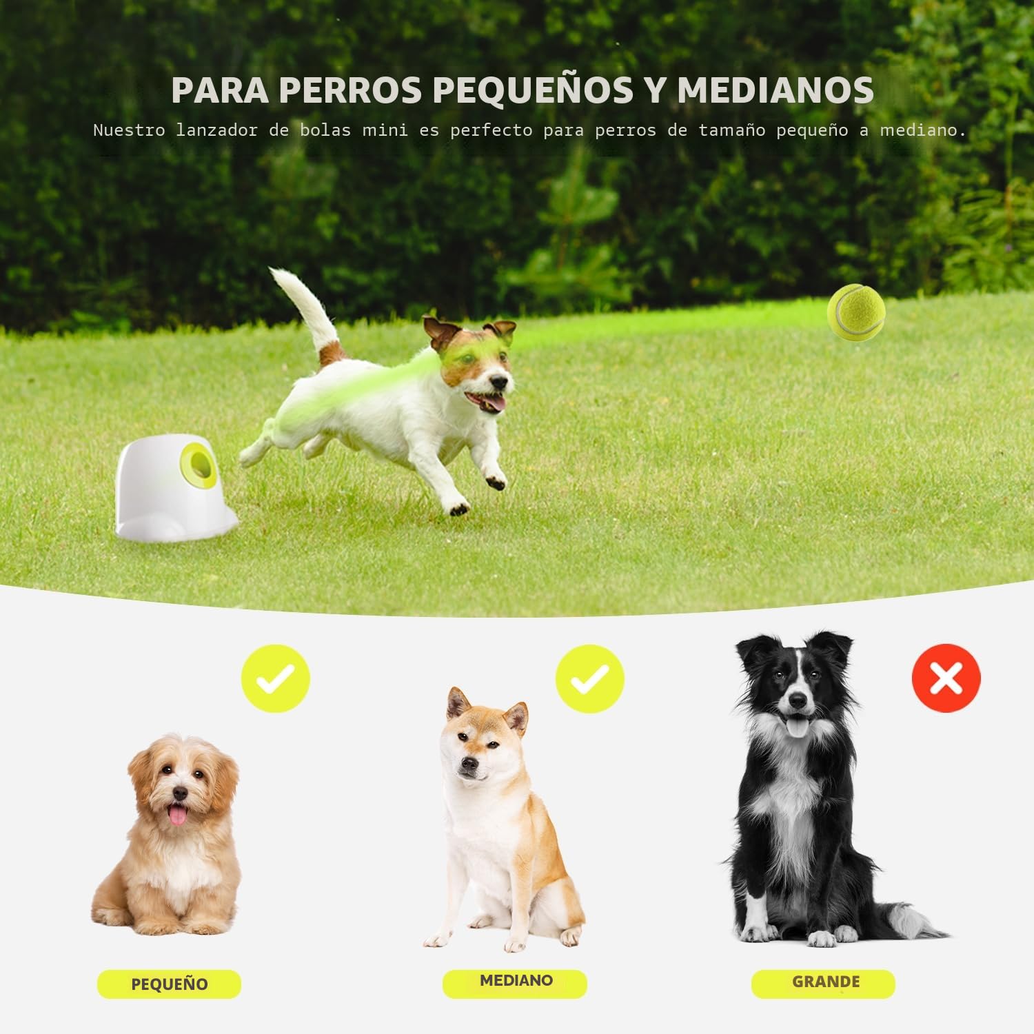 ALL FOR PAWS Lanzador de pelotas para perros pequeños, juguete interactivo para perros, lanzador de pelotas de tenis, entrenamiento mental, juguete para lanzar pelotas con 3 bolas de 5 cm incluidas