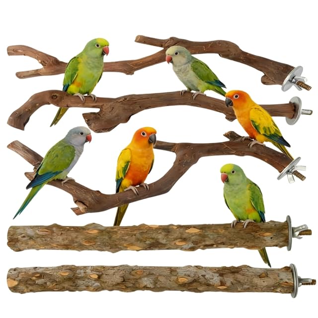 HJYDGJ 2 Unidades Tablas para Asientos De Periquitos, Accesorios para Jaulas De Pájaros, Percha para Loros